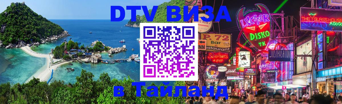 Оформление DTV визы под ключ: стоимость и тарифы, только загранпаспорт - Димитровград 